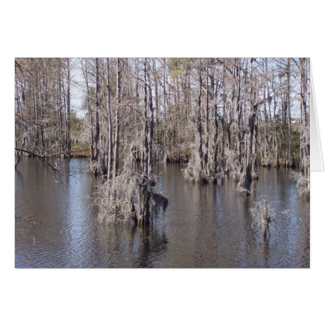 Louisiana Bayou Card Hälsningskort (Framsidan Horizontal)