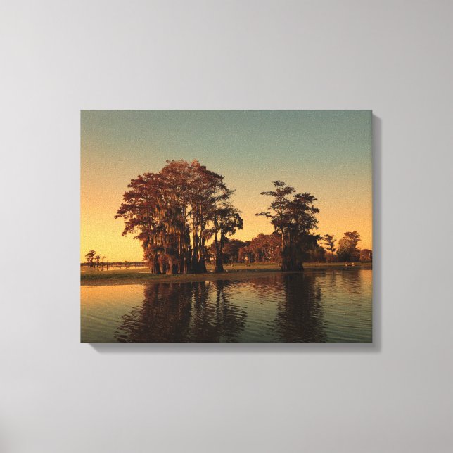 Louisiana bayou och cypress träd canvastryck (Framsida)