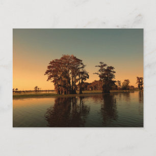 Louisiana bayou och cypress träd vid solljus vykort