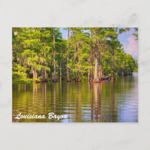 Louisiana Bayou Vykort