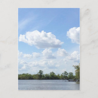 Louisiana Bayou Vykort