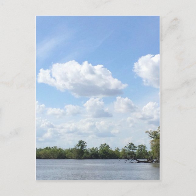 Louisiana Bayou Vykort (Framsida)