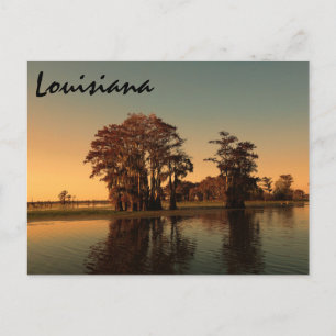 Louisiana bayou vykort