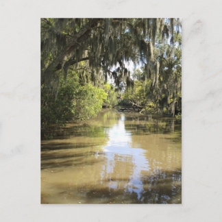 Louisiana Bayou Vykort