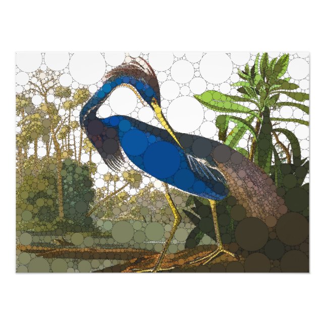 Louisiana Blue Heron av After John James Audubon Fototryck (Framsidan)