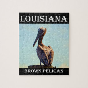 Louisiana Brown Pelican 2.jpg Pussel