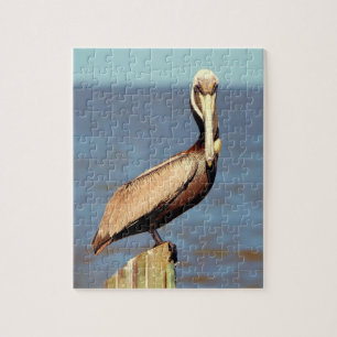 Louisiana Brown Pelican 4.jpg Pussel