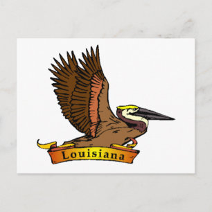 Louisiana Brown Pelican Vykort