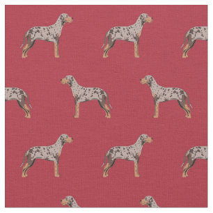 louisiana catahoula leopard hund röd tyg