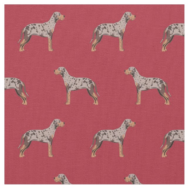 louisiana catahoula leopard hund röd tyg (Närbild)