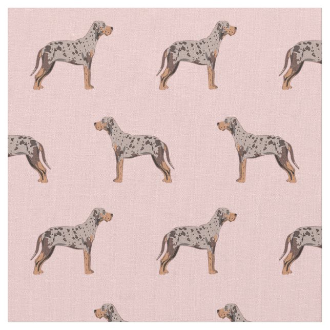 louisiana catahoula leopard hund rosa tyg (Närbild)