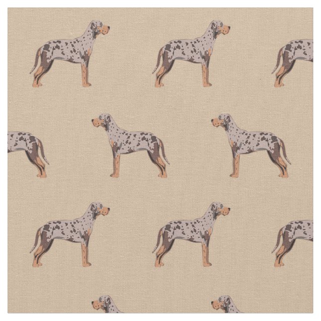 louisiana catahoula leopard hund tan tyg (Närbild)
