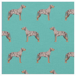 louisiana catahoula leopard hund turquise tyg