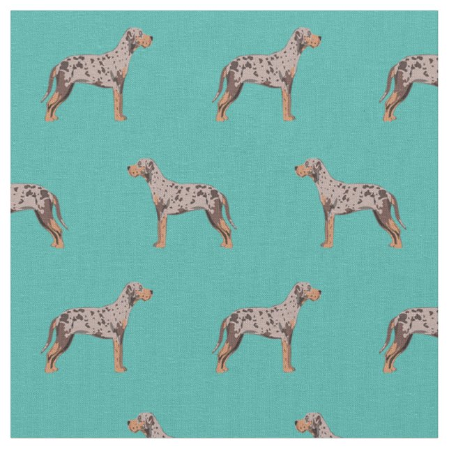 louisiana catahoula leopard hund turquise tyg (Närbild)
