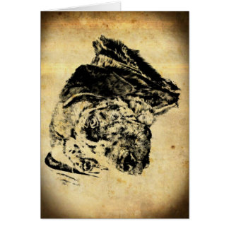 Louisiana Catahoula Leopardhund gammala Time Hälsningskort