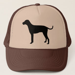 Louisiana Catahoula Leopardhund Keps