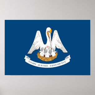 Louisiana delstatsflagga poster