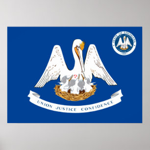 Louisiana flagga poster