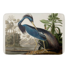Louisiana Heron, 1834, från amerikanska fåglar Badrumsmatta