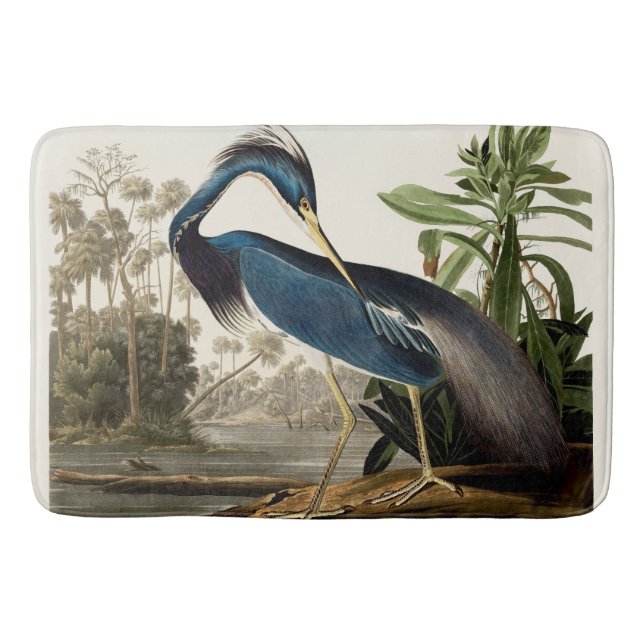 Louisiana Heron, 1834, från amerikanska fåglar Badrumsmatta (Framsidan)