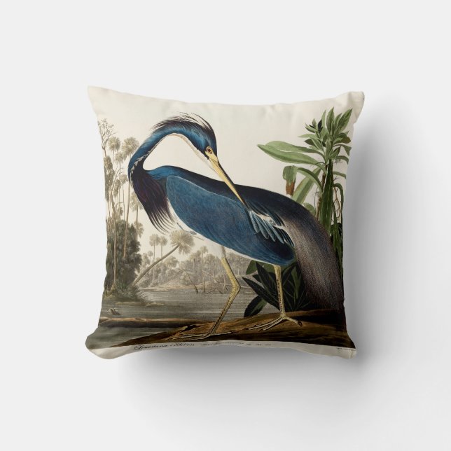 Louisiana Heron, 1834, från amerikanska fåglar Kudde (Framsida)