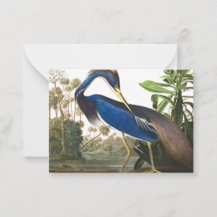 Louisiana Heron av John James Audubon Anteckningskort