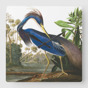 Louisiana Heron av John James Audubon Fyrkantig Klocka