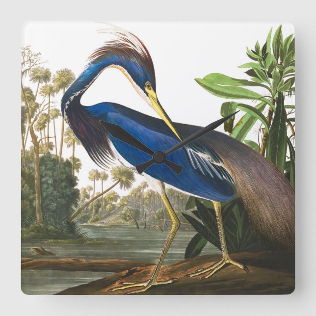 Louisiana Heron av John James Audubon Fyrkantig Klocka (Framsida)