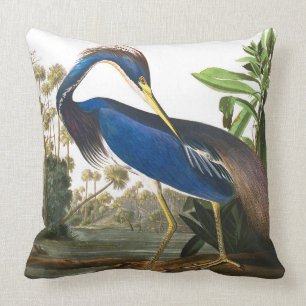 Louisiana Heron av John James Audubon Kudde