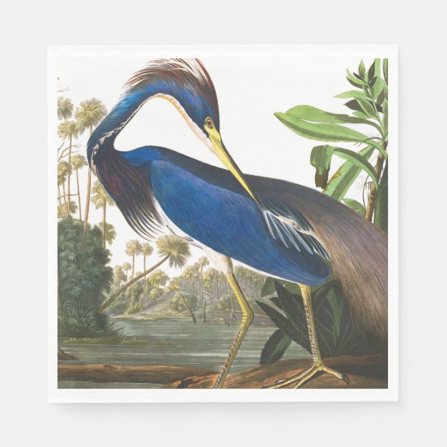 Louisiana Heron av John James Audubon Pappersservett (Framsidan)