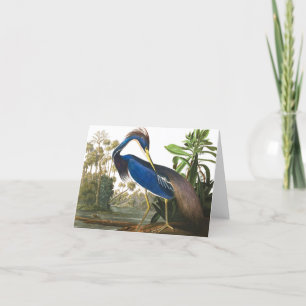 Louisiana Heron av John James Audubon Tack Kort