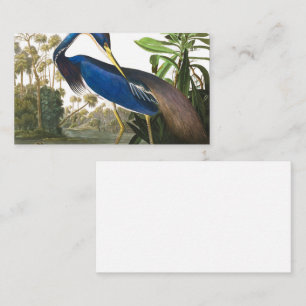 Louisiana Heron av John James Audubon Visitkort
