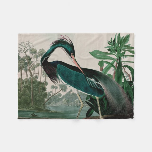 Louisiana Heron Birds of America Audubon Print Fleecefilt (Framsidan (Horisontell))