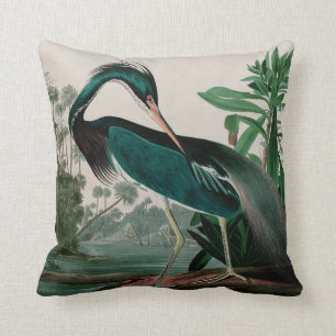 Louisiana Heron Birds of America Audubon Print Kudde