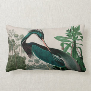 Louisiana Heron Birds of America Audubon Print Lumbarkudde