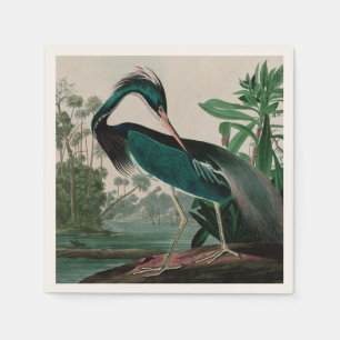 Louisiana Heron Birds of America Audubon Print Pappersservett