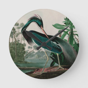 Louisiana Heron Birds of America Audubon Print Rund Klocka