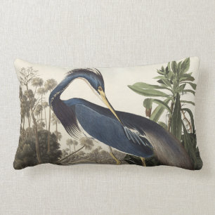 Louisiana Heron från amerikanska fåglar Lumbarkudde