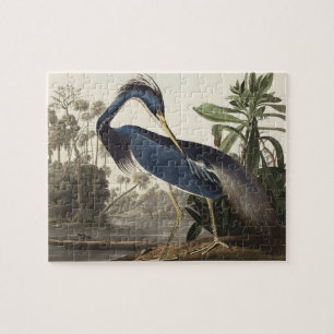Louisiana Heron från amerikanska fåglar Pussel
