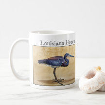 Louisiana Heron (tricolor Egretta)