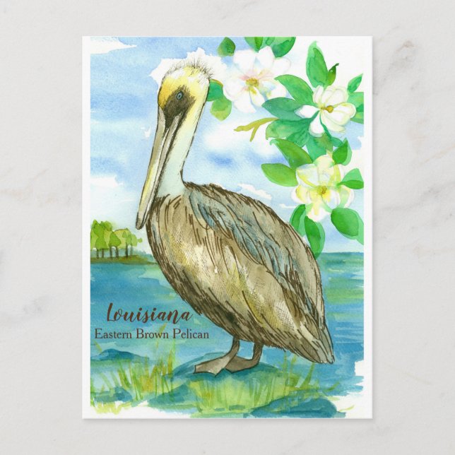 Louisiana Östra Brown Pelican State Bird Vykort (Framsida)