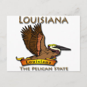 Louisiana Pelican State Pelican Vykort