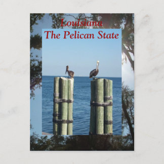 Louisiana, Pelican-staten Vykort
