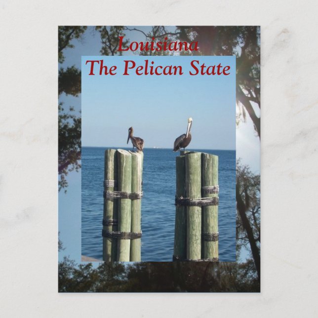 Louisiana, Pelican-staten Vykort (Framsida)