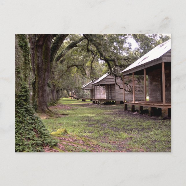 Louisiana Plantation Vykort (Framsida)