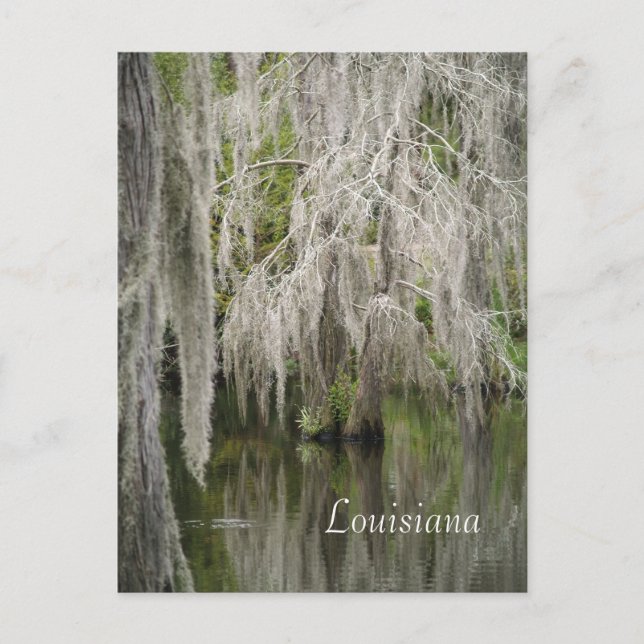 Louisiana Postcard Vykort (Framsida)
