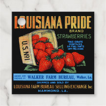 Louisiana Pride Strawbär
