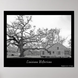 Louisiana reflexioner poster