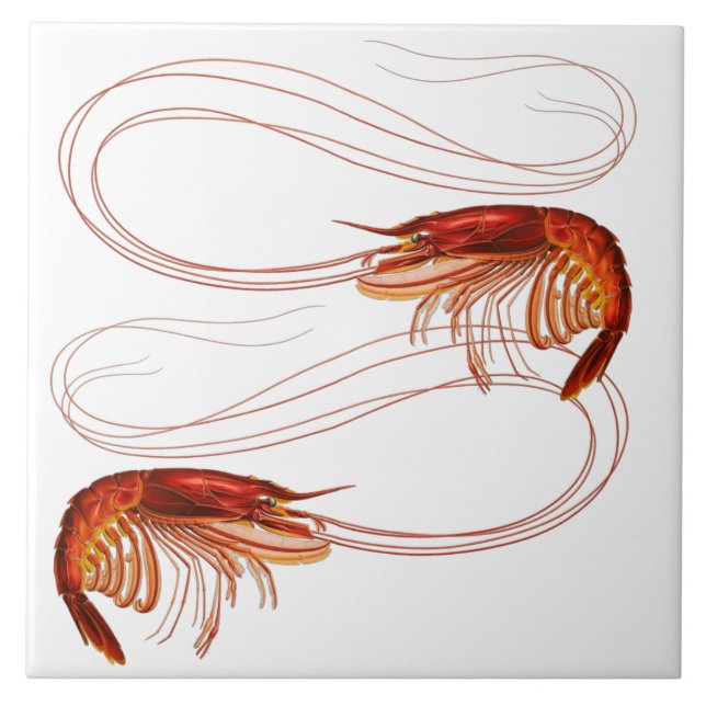 Louisiana Shrimp Kakelplatta (Framsidan)