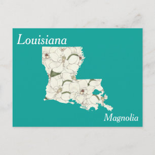 Louisiana State Flower Collage Karta Vykort